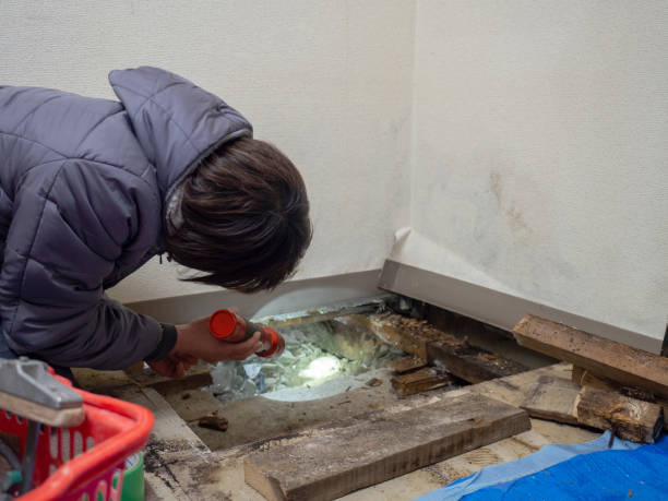 Best Water Damage & Mold Remediation  in Hartsville, SC