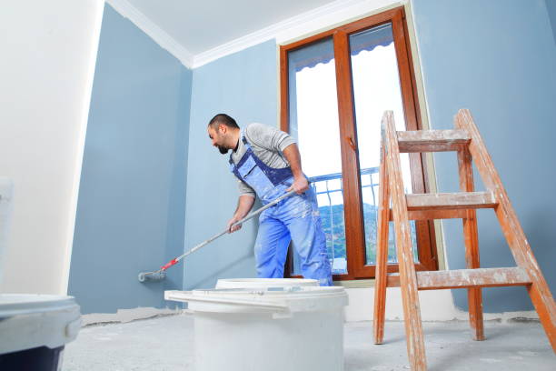 Professional Mold Removal in Hartsville, SC