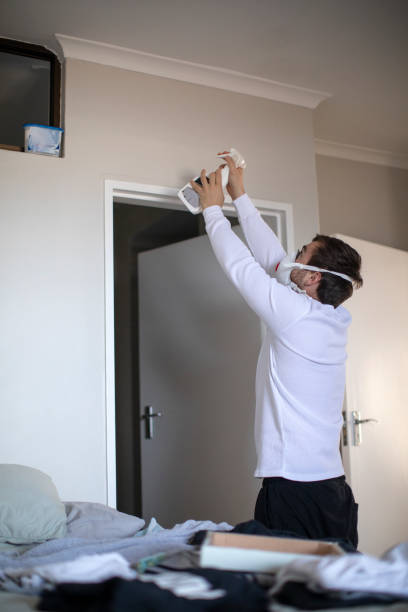 Best Mold Removal for HVAC Installations  in Hartsville, SC