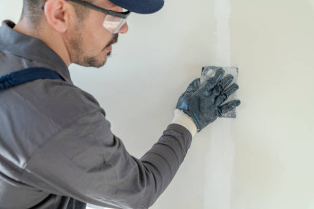 Best Mold Damage Restoration  in Hartsville, SC