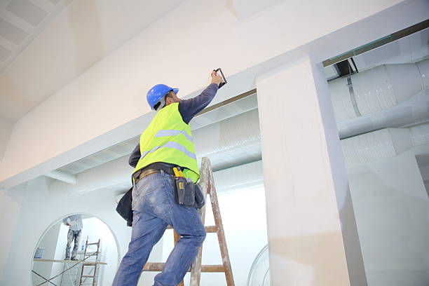 Best Black Mold Removal  in Hartsville, SC