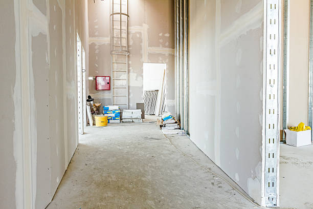 Best Real Estate Mold Inspection  in Hartsville, SC