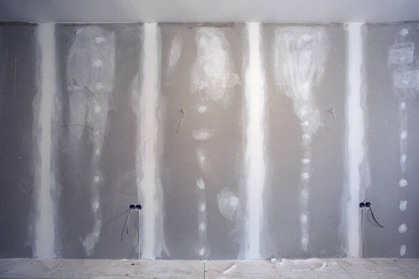 Professional Mold Removal in Hartsville, SC
